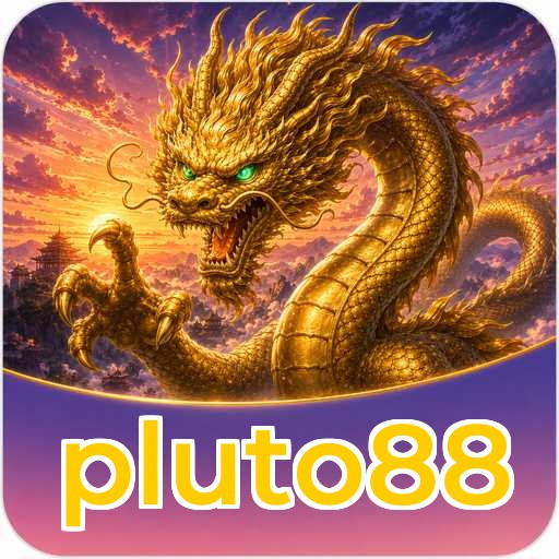 Audit profile pluto88